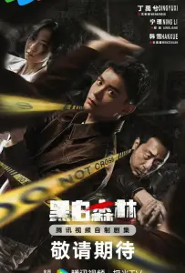 Чёрно белый лес (сериал 2024)